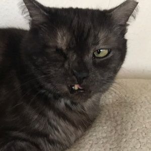 Meet your Posher, Joann